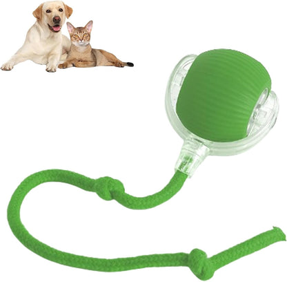 Rolling Ball Ball For Dogs Doggie Ball Interactive Dog