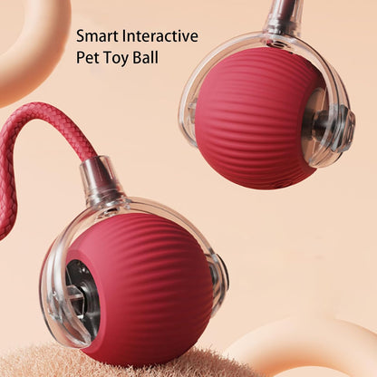 Rolling Ball Ball For Dogs Doggie Ball Interactive Dog